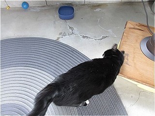s-IMG_2899.jpg