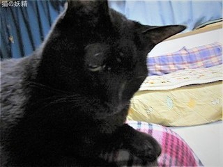 s-IMG_2912.jpg