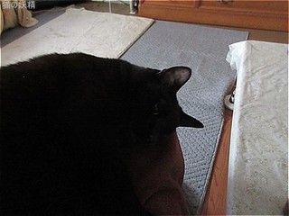 s-IMG_2942.jpg