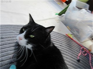 s-IMG_2960.jpg