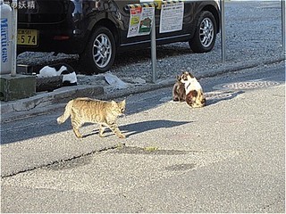 s-IMG_2962.jpg