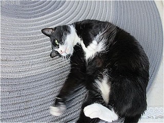 s-IMG_2986.jpg