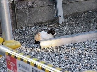 s-IMG_3006.jpg
