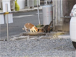 s-IMG_3013.jpg