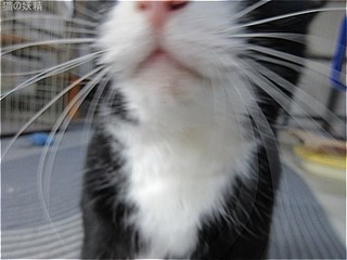 s-IMG_3121.jpg