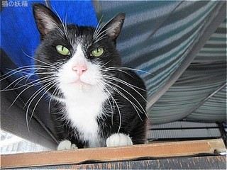 s-IMG_3138.jpg