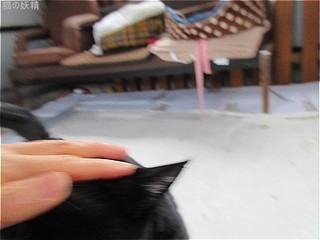 s-IMG_3192.jpg
