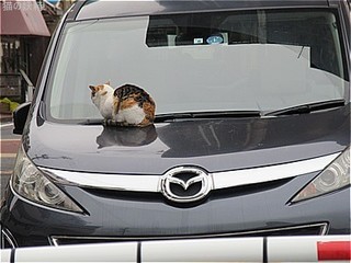 s-IMG_3199.jpg