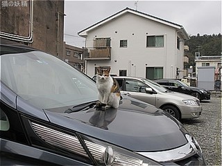 s-IMG_3255.jpg