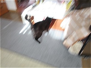 s-IMG_3258.jpg