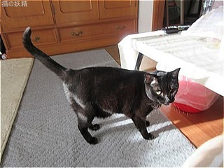 s-IMG_3259.jpg