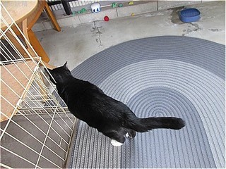 s-IMG_3295.jpg