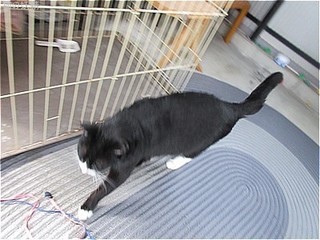 s-IMG_3296.jpg