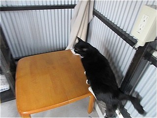 s-IMG_3311.jpg
