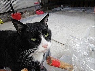 s-IMG_3320.jpg