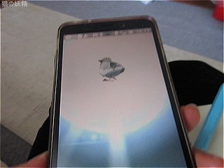 s-IMG_3354.jpg
