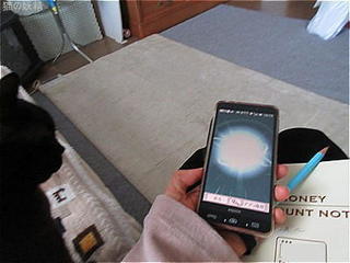 s-IMG_3355.jpg