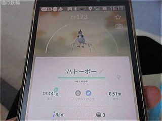 s-IMG_3358.jpg