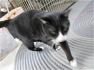 s-IMG_3383.jpg