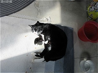 s-IMG_3420.jpg