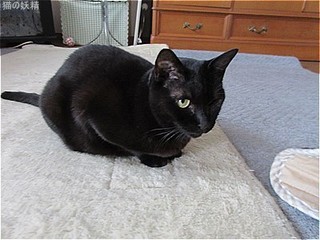 s-IMG_3426.jpg