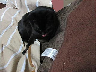s-IMG_3444.jpg