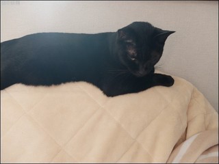 s-s-DSCF5372.jpg