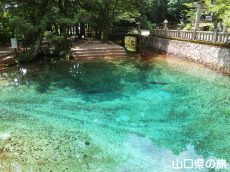 shuho12.2.jpg