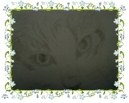 syaru0.jpg